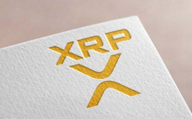 Chad Steingraber Explains Why XRP Lags despite Ripple’s Partnerships