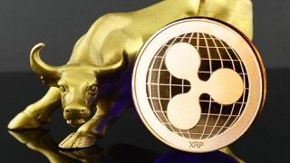 XRP Whales Are On The Move Again, But Are They Bullish Or Bearish?