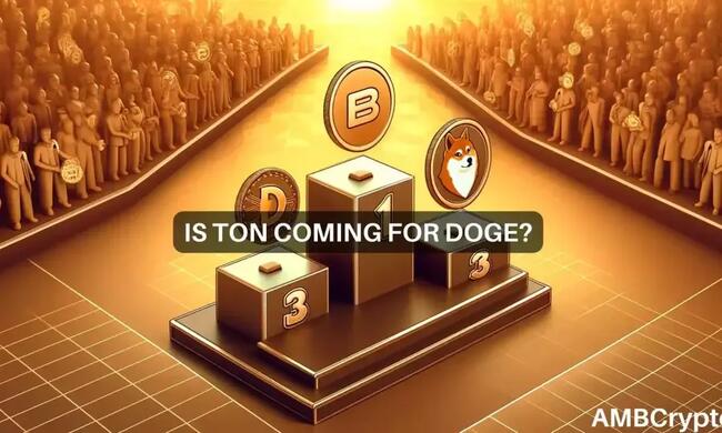 Dogecoin out of the Top 10? All about TON’s race to #8
