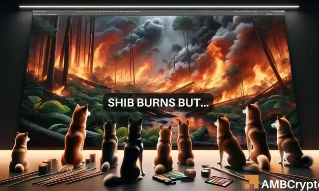 Shiba Inu quema 798 millones de tokens: ¿es este el próximo precio de SHIB actual?