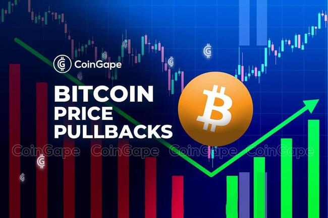 Top 6 Bitcoin Price Pullbacks from the Bear Market Analysed