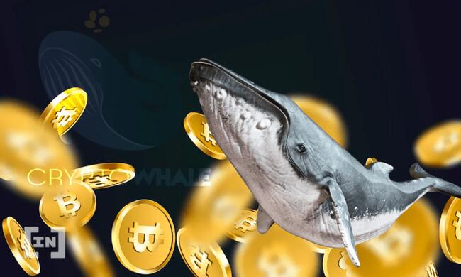 Vous cherchez quoi faire avec Bitcoin ? Voici ce que font certaines baleines crypto !