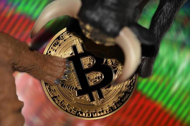 Jak wysoko wzrośnie Bitcoin? Eksperci prognozują cenę BTC powyżej sześciocyfrowych wartości