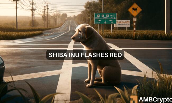 Shiba Inu: El indicador clave muestra señales preocupantes, ¿y ahora qué?