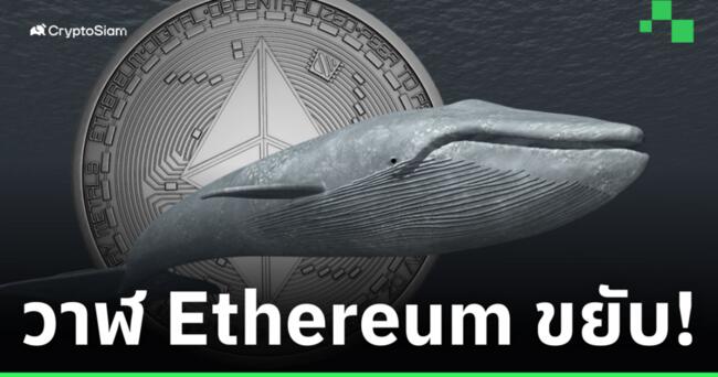 Lookonchain รายงาน! พบ ‘วาฬ’ โยก 5,000 Ethereum เข้า Kraken เพื่อทำกำไร