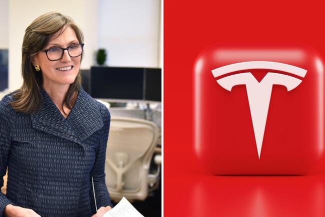 Cathie Wood Sees Value In Tesla Wreckage As Ark Buys $13M Worth Of EV Giant's Stock, Loads Up On Bitcoin And Ethereum ETFs