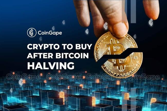 Top 4 Cryptocurrencies to Buy After Bitcoin Halving