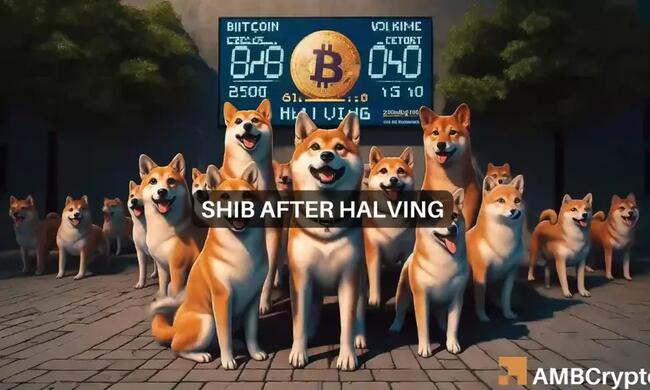 Shiba Inu coin’s price – Bitcoin halving’s impact on this altcoin will be…