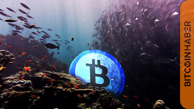 Bitcoin Runes Projesinde Son Gelişmeler ve Piyasa Etkileri