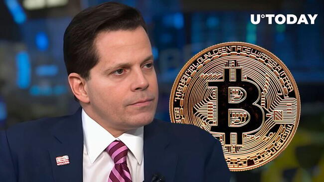 Anthony Scaramucci on Bitcoin: 'Best-Performing Asset in World'