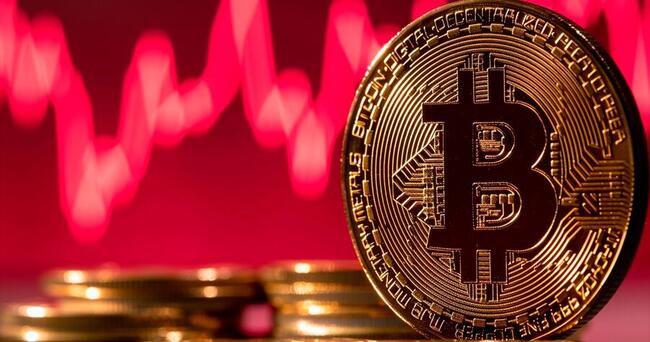 Bitcoin perde espaço para Litecoin, XRP e Polkadot em investimentos