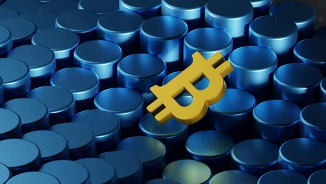 A Bitcoin felezésből a Fezoo is profitál