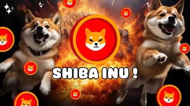 Shiba Inu đã huy động được 12 triệu USD