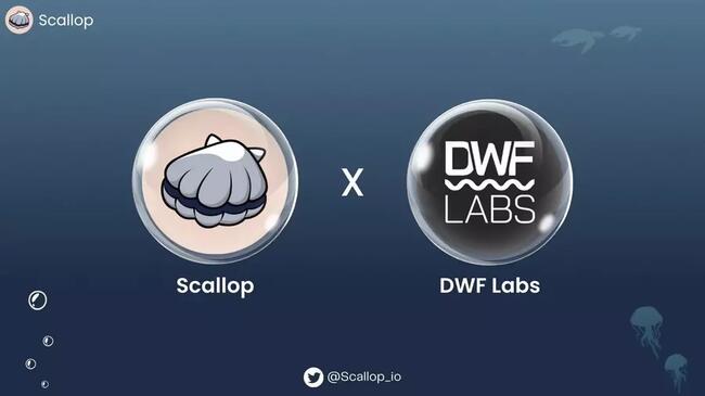 Scallop nhận đầu tư từ quỹ DWL Labs để tiếp tục mở rộng hệ sinh thái