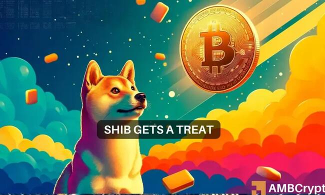 Shiba Inu’s $12M bet: Here’s what it means for SHIB holders like you