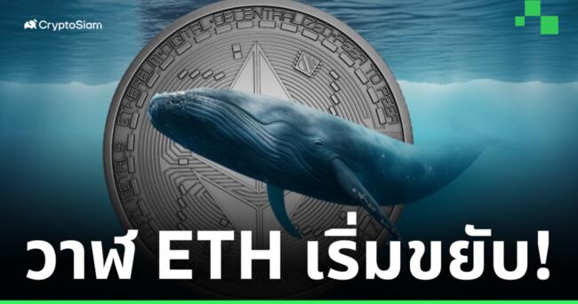 Lookonchain รายงาน! พบ 'วาฬ' Ethereum เริ่มเคลื่อนไหวมากขึ้น