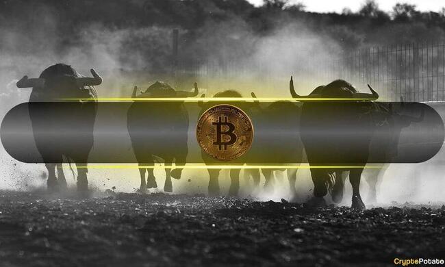 Bitcoin Market Dynamics Remain Bullish Post-Halving: Bitfinex