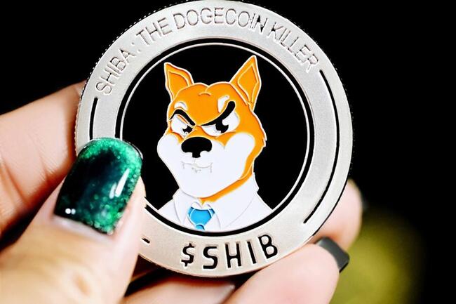 Shiba Inu raises US$12 mln for blockchain expansion