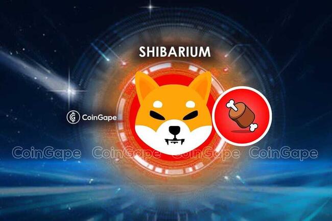 Shiba Inu Lead Unveils BONE Use Case In Layer 3 Blockchain