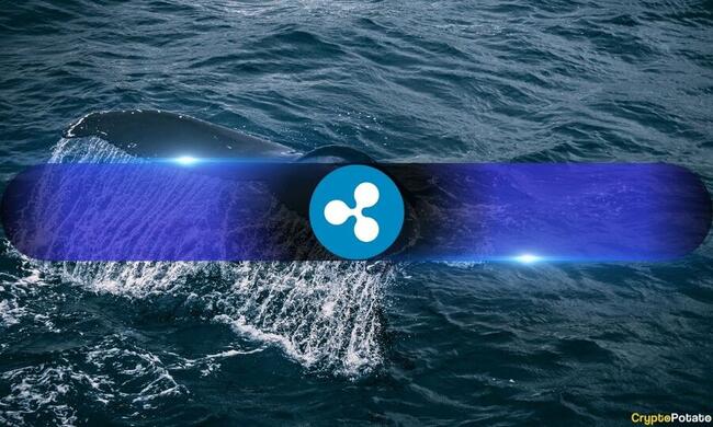 XRP Price’s Plunge Spurs Whale Buying Frenzy Amidst Ripple Vs. SEC Saga