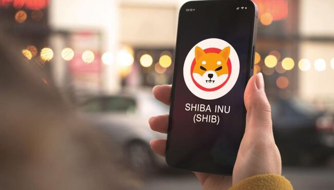 Shiba Inu recauda millones para crear una nueva red de criptomonedas