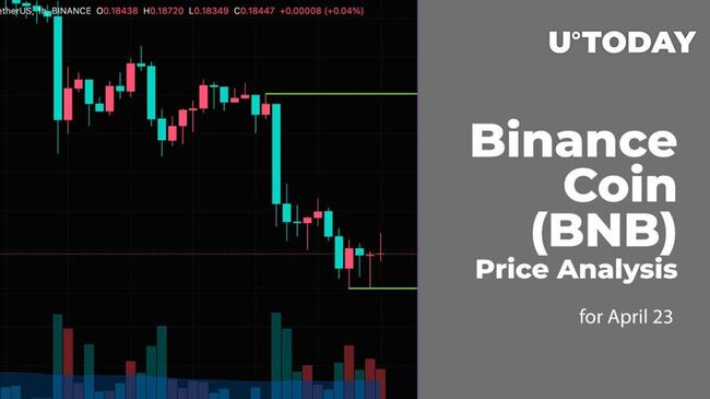 Binance Coin (BNB) Price Prediction for April 23