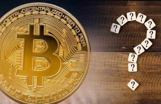 Các nhà đầu tư đang dùng lợi nhuận Bitcoin đổ vào hai altcoin này