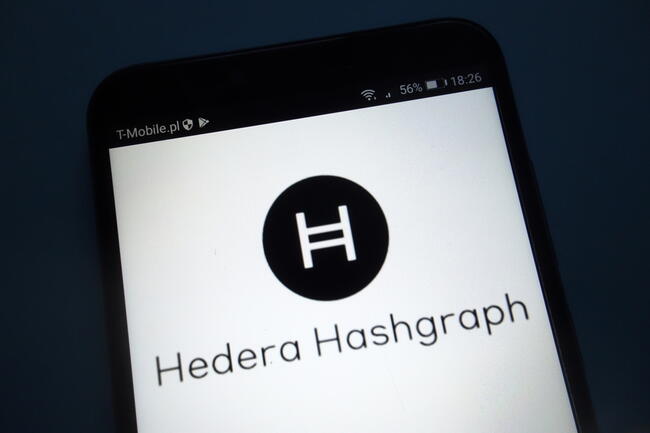 Hedera Hashgraph steigt um 100 Prozent: Was ist los?