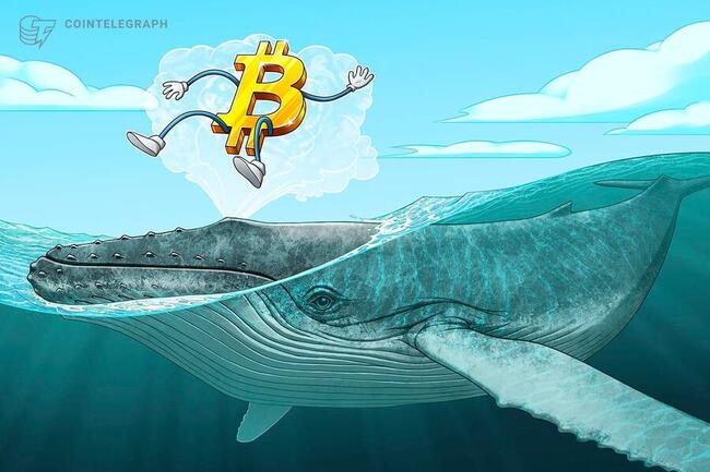 Bitcoin balinaları 67.000 dolar direncine göz dikti