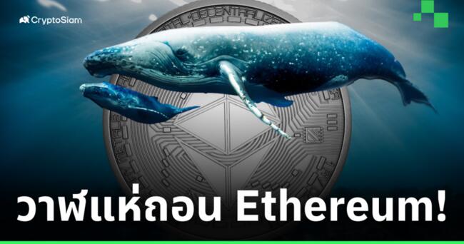 Lookonchian รายงาน! พบ 'วาฬ' จำนวนมาก แห่ถอน Ethereum ออกจาก Binance