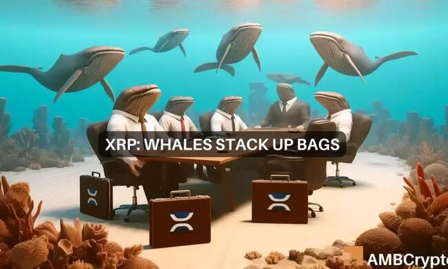 XRP whales stock up on 600M tokens – Here’s what you should do!