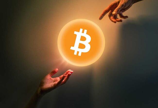 Bitcoin: Wird der Halving Satoshi für über 300.000 USD verkauft?