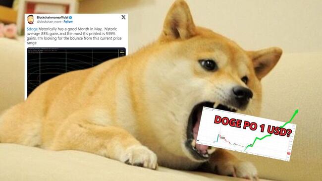Dogecoin osiągnie 1 USD w tym cyklu? Analitycy o cykliczności DOGE
