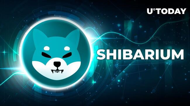 Shiba Inu Team Member Shares Crucial Shibarium Update: Details
