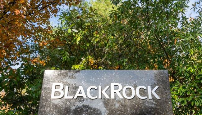 BlackRock’s bitcoin ETF bereikt zeldzame mijlpaal na successtart
