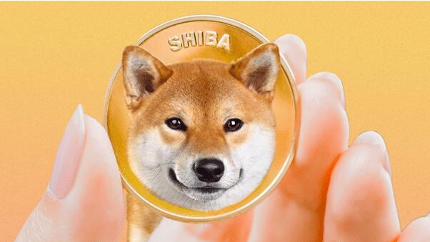 Shiba Inu steigt um 25 % – lohnt sich ein Einstieg in Meme-Coins?