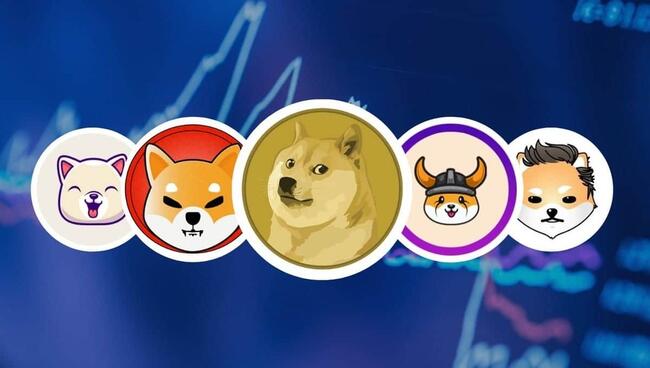 Dog-Themed Memecoins Lose Steam as Rivals Surge