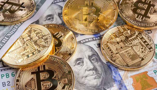 Investidores de Bitcoin podem ter que esperar meses para ver impacto do halving nos preços