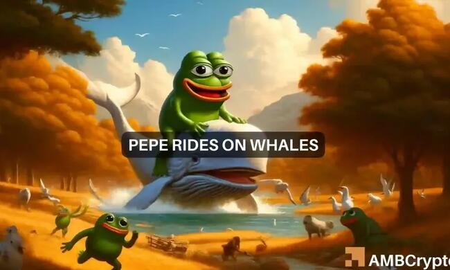 Whale buys 211 billion PEPE tokens… thanks to Bitcoin halving’s impact?