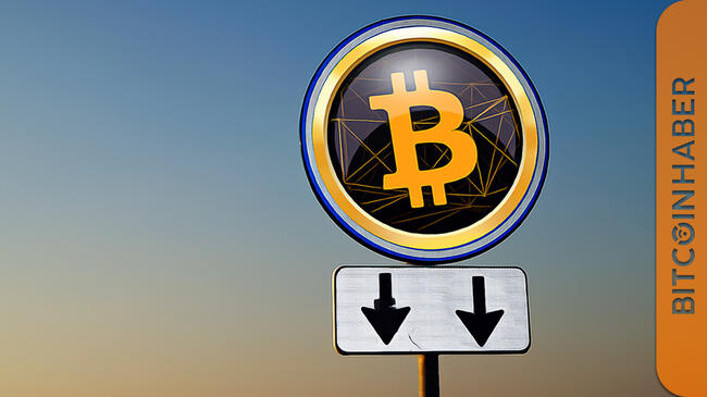 Bitcoin Balinalarının Piyasadaki Etkisi ve Yatırımcı Duyarlılıkları