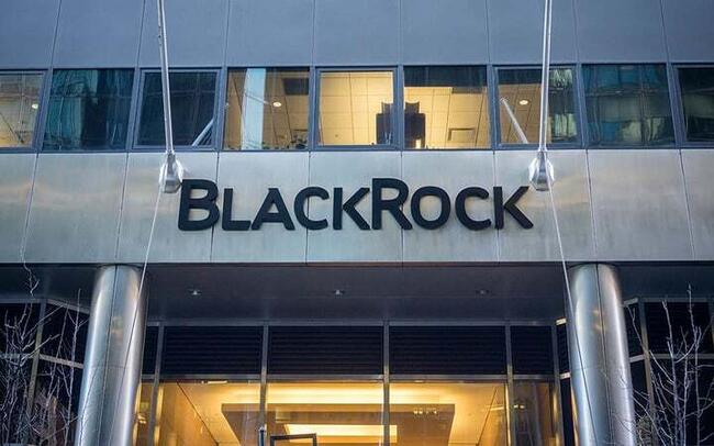 BlackRock Records Zero Inflow for First Time Amid $121M Outflows