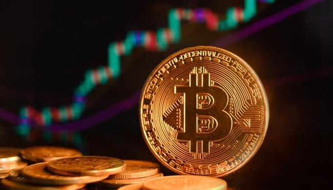 Bitcoin Runes extreem populair, domineren transacties op het netwerk