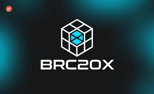 IDO проекта BRC20X и возможность получить whitelist