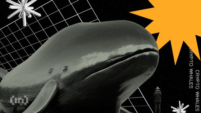 Le balene crypto hanno acquistato quasi 57 milioni di dollari in Ethereum (ETH) nelle ultime 24 ore