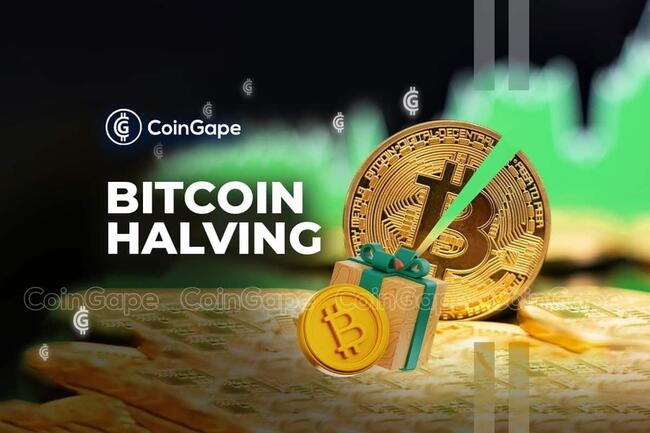 How Is Bitcoin Halving Adjusting The Market?