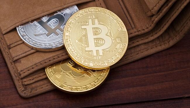 La cantidad de wallets de Bitcoin con $1.000 sigue creciendo