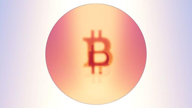 “Sat épico” del halving de Bitcoin se vendió por USD $2 millones