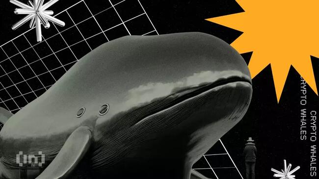 Krypto wieloryby kupiły dziś Ethereum (ETH) za 57 mln USD