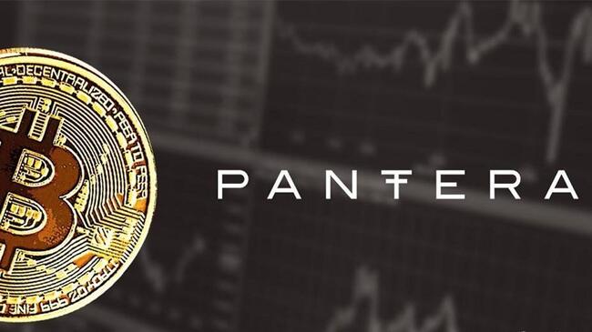 Pantera Capital đặt mục tiêu huy động 1 tỷ USD cho quỹ tiền điện tử mới