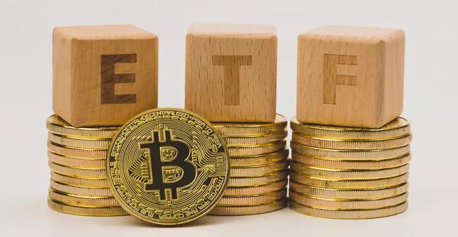 Outflows Continue in Bitcoin ETFs! Which Company Made the Most Purchases? Here are the Details